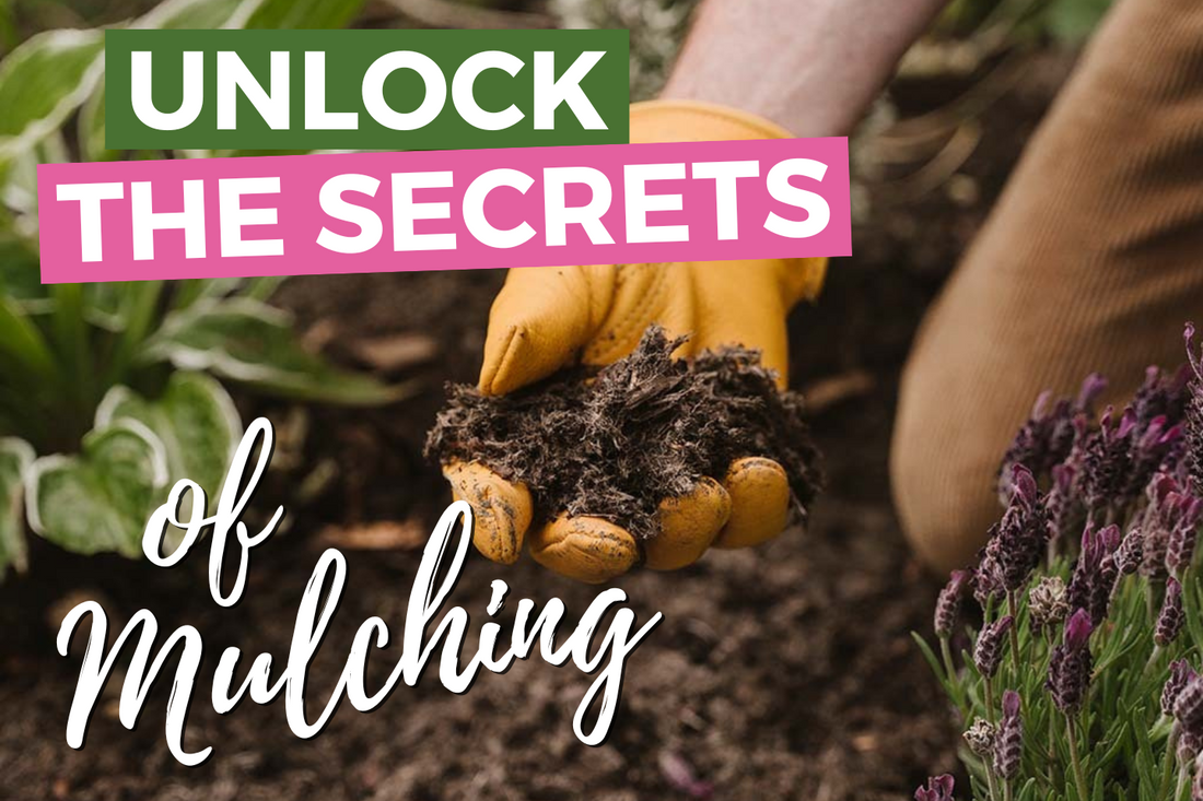 Unlock the Secrets of Mulching