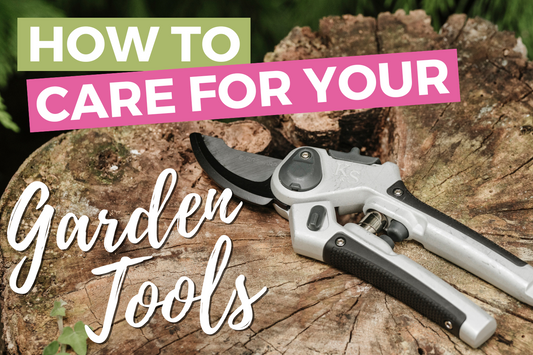 How to Care for Your Garden Tools this Winter