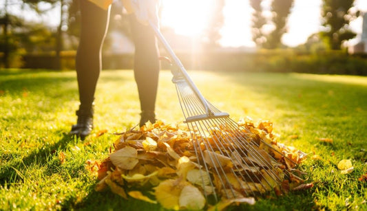 15 Essential Garden Tips for November: Prepare Your Garden for Winter