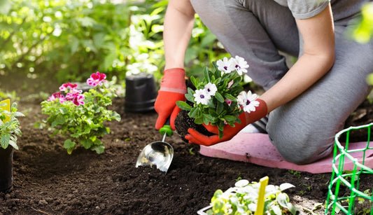 Top Gardening Tools Every Beginner Should Own