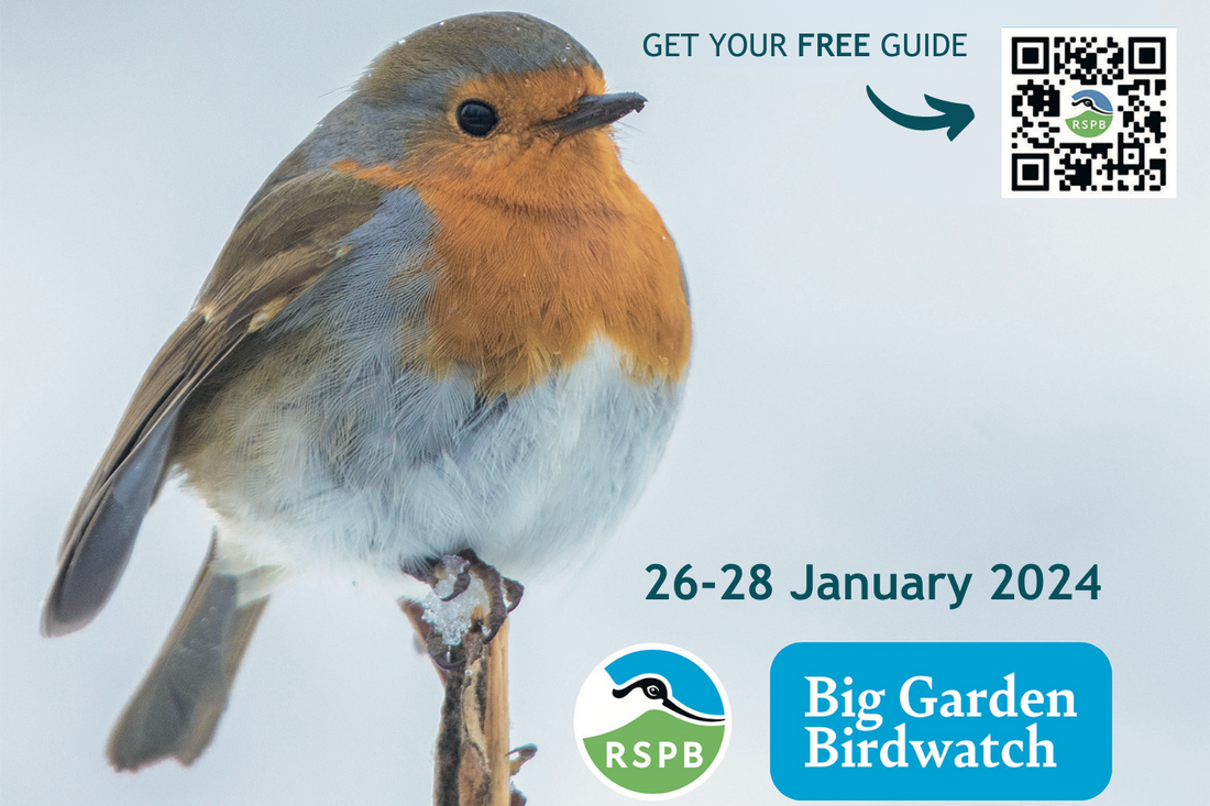 Feathered Fanatics Unite! Join the RSPB Big Birdwatch!