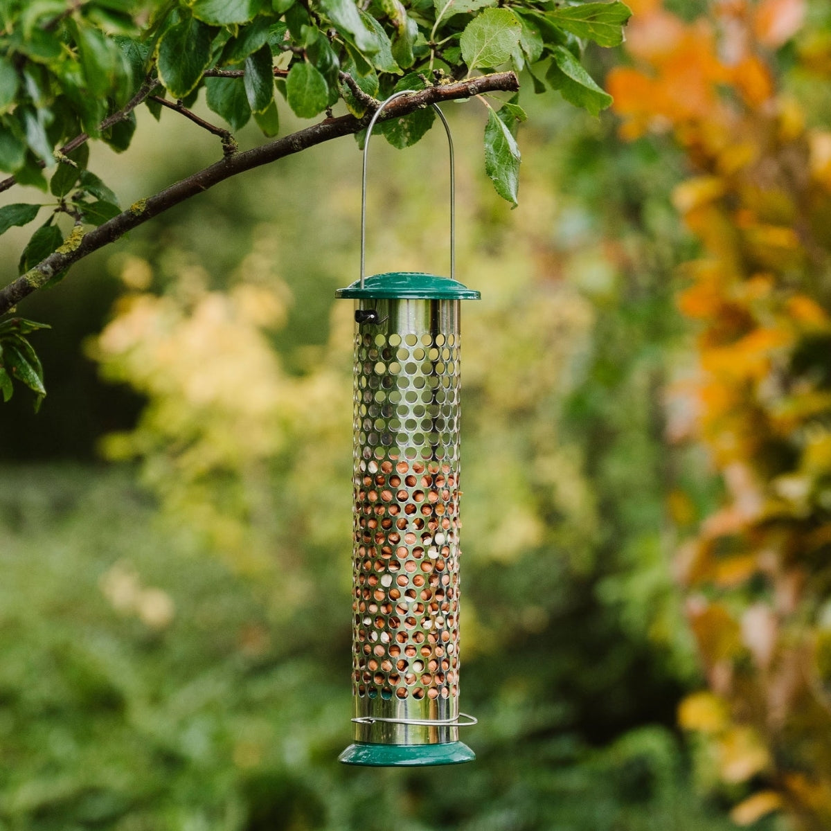 Bird Feeders