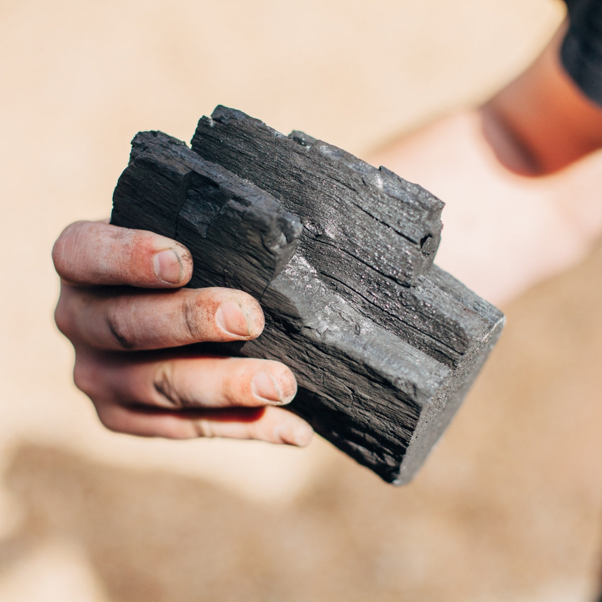 Charcoal, Smoking Chips & BBQ Fuel