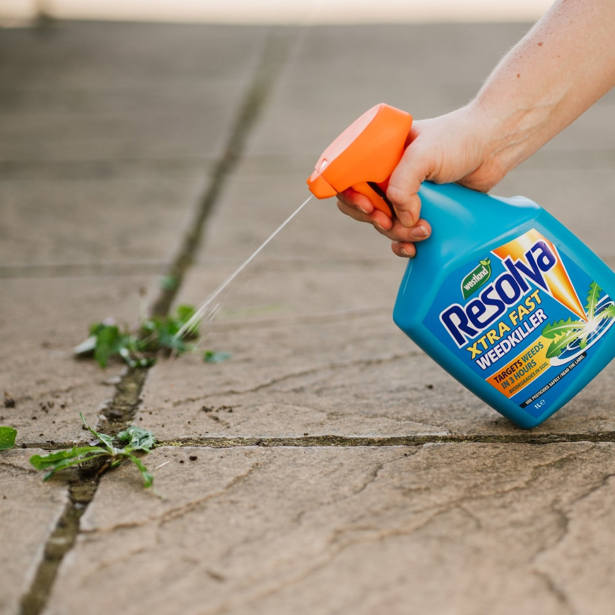 Weed, Pest & Disease Control