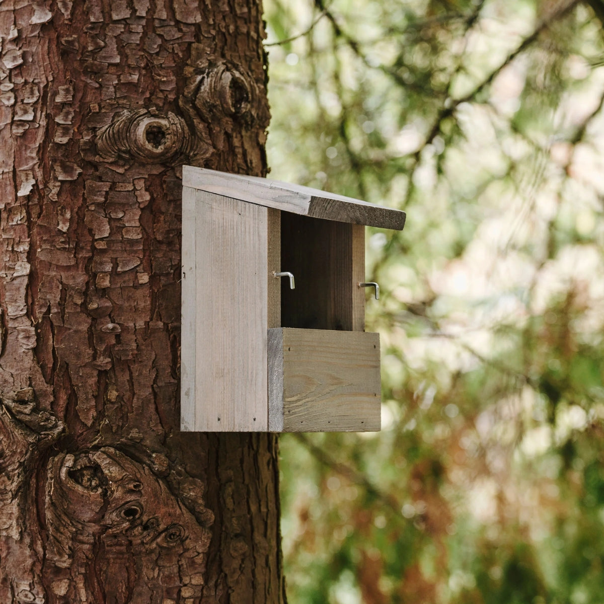 Bird Houses & Nest Boxes