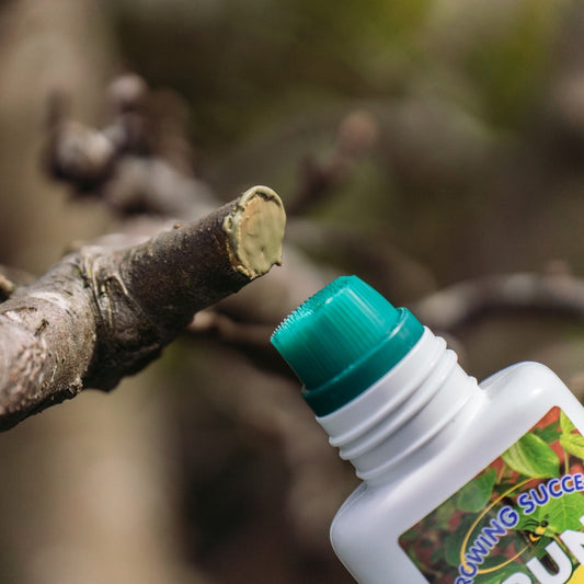 Growing Success Prune & Seal Ready To Use 250Ml