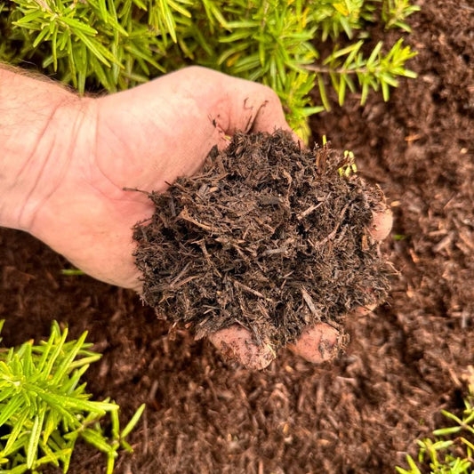 Country Natural Composted Stable Manure 80L