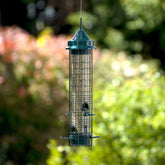 Squirrel Buster Classic 1.4L Squirrel-Proof Bird Feeder