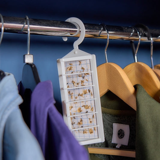 Zero In Demi-Diamond Clothes Moth Trap