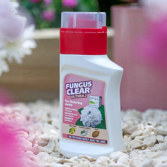 FungusClear Ultima 2 Concentrate 210ml