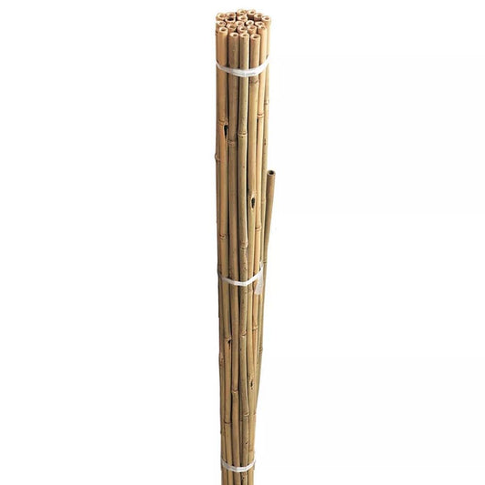 240cm Bamboo Canes Bulk Bundle