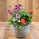 27Cm Quilt Bellpot Planter