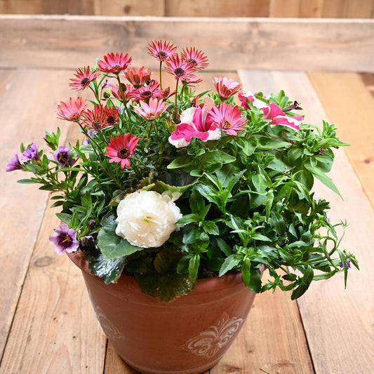 30cm Fleur De Lys Planter