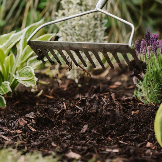 Westland Decorative Mini Bark 70L