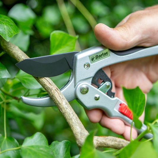Darlac Super Classic Ratchet Pruner