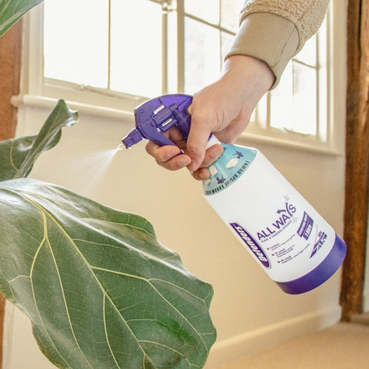 All Ways Home & Garden Sprayer 1L
