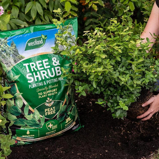 Tree & Shrub Planting Peat Free Mix 50L