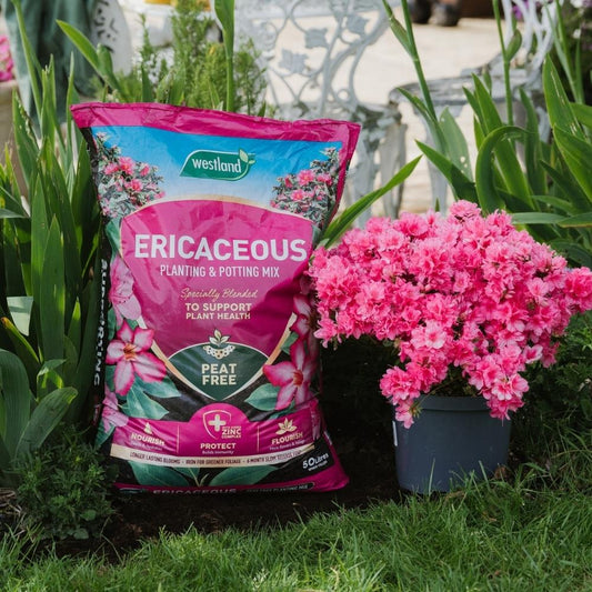 Ericaceous Planting & Potting Mix 50L
