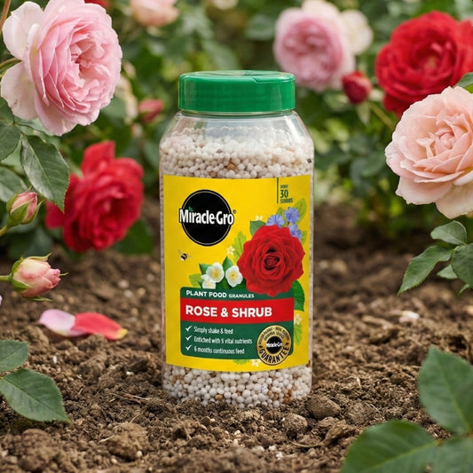 Miracle-Gro Premium Rose & Shrub Continuous Release Plant Food 900g
