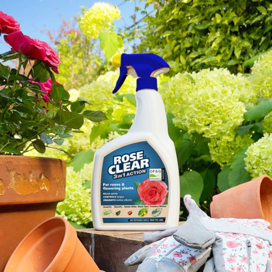 RoseClear 3 in 1 Action Spray Gun 800ml