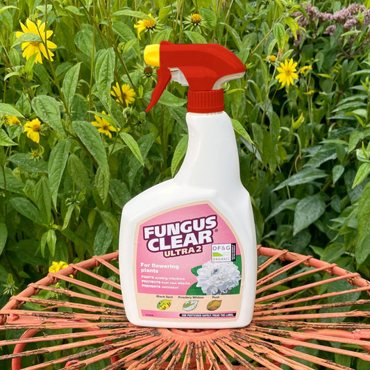 FungusClear Ultra 2 Spray Gun 800ml