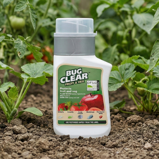 BugClear Fruit & Veg Concentrate 210ml