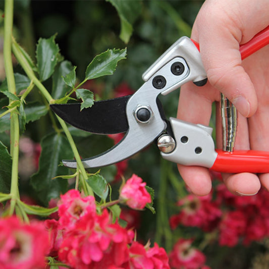 Darlac Expert Bypass Medium Pruner