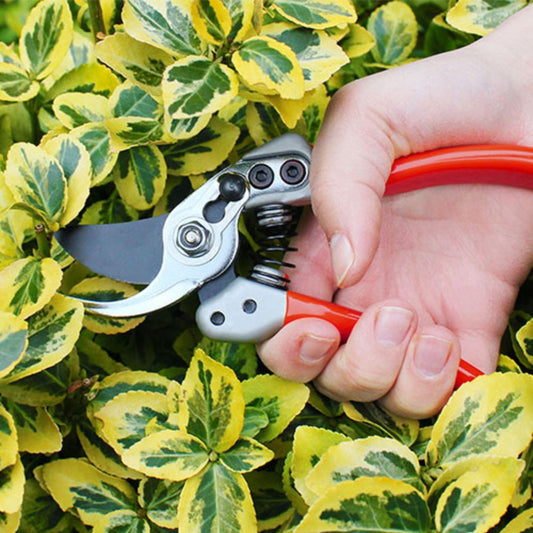 Darlac Expert Bypass Small Pruner