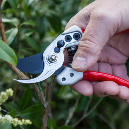 Darlac Expert Bypass Small Pruner