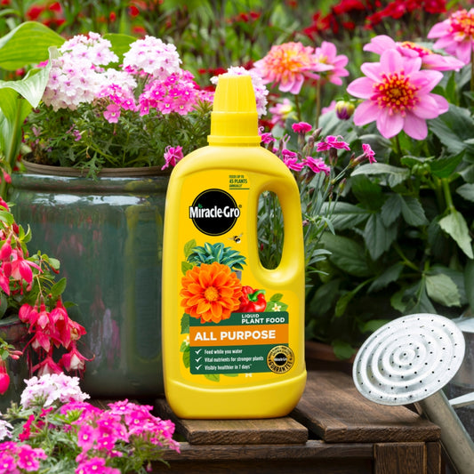 Miracle-Gro All Purpose Concentrated Liquid Plant Food 800ml