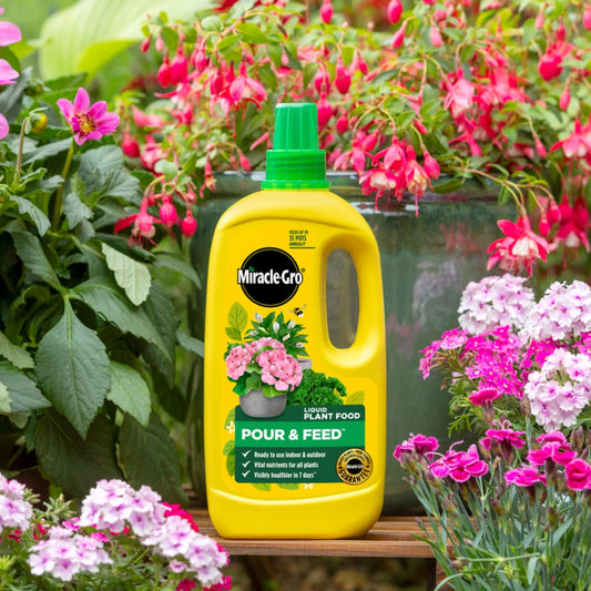 Miracle-Gro Pour & Feed Ready to Use Plant Food 1L
