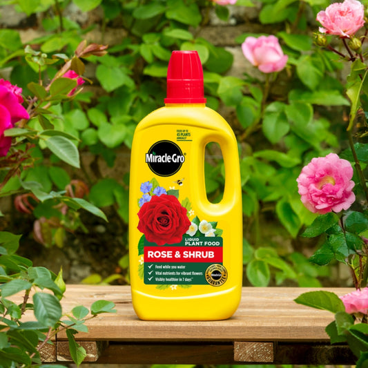 Miracle-Gro Rose & Shrub Concentrated Liquid Plant Food 800ml