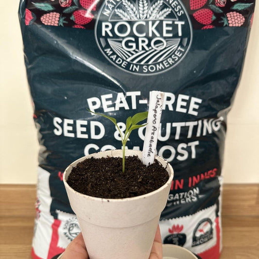 RocketGro Seed & Cutting Compost with Added John Innes 20L