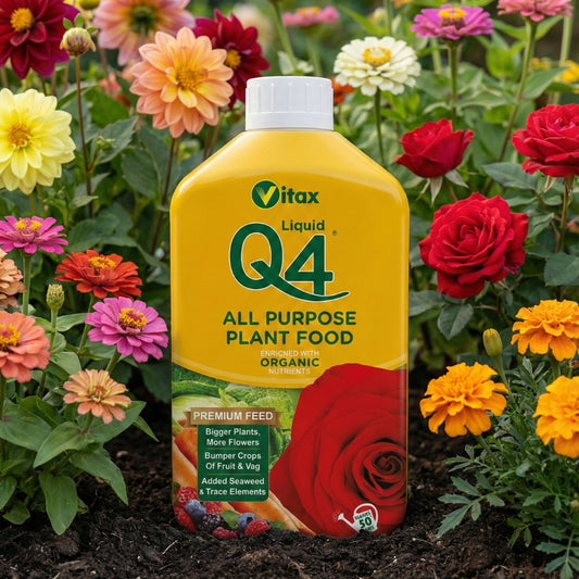 Vitax Q4 All Purpose Liquid Plant Food Concentrate 1L