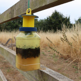 XL Outdoor Fly Catcher Twin Pack