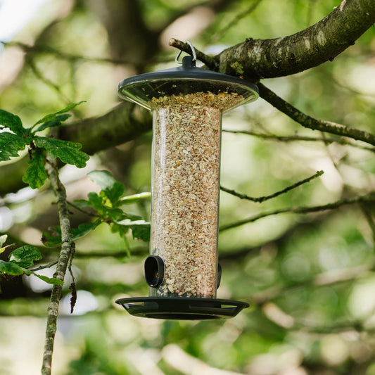 Peckish Funnel Seed Bird Feeder