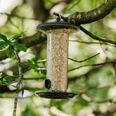Peckish Funnel Seed Bird Feeder
