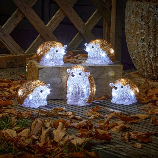 Inlit Ice Hedgehogs - Set of 5 Lit Acrylic Figures