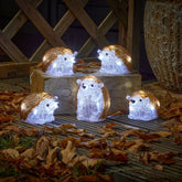 Inlit Ice Hedgehogs - Set of 5 Lit Acrylic Figures