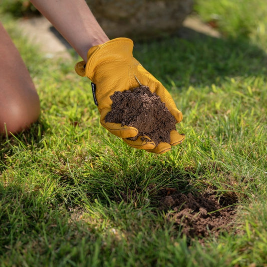 Lawn Seeding Soil 30L