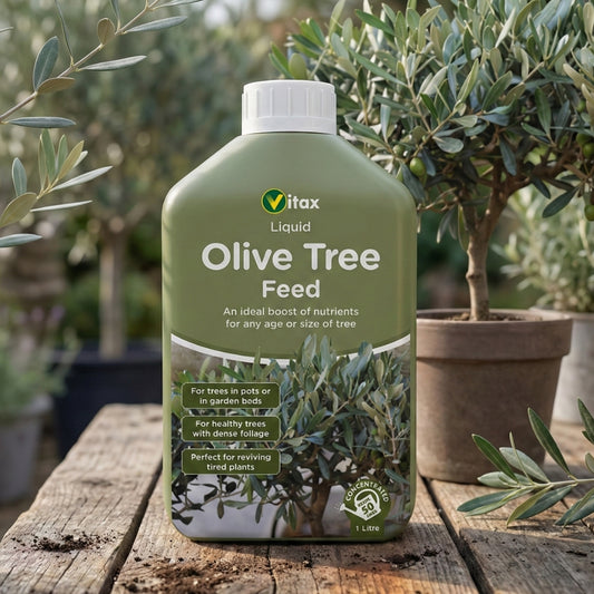 Vitax Olive Tree Liquid Feed Concentrate 1L