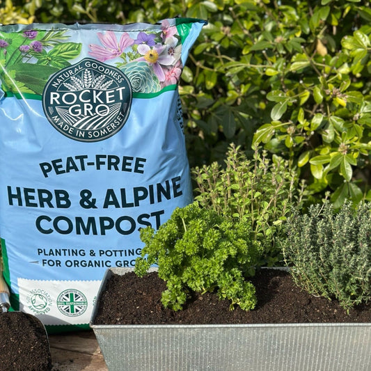 RocketGro Herb & Alpine Compost 20L