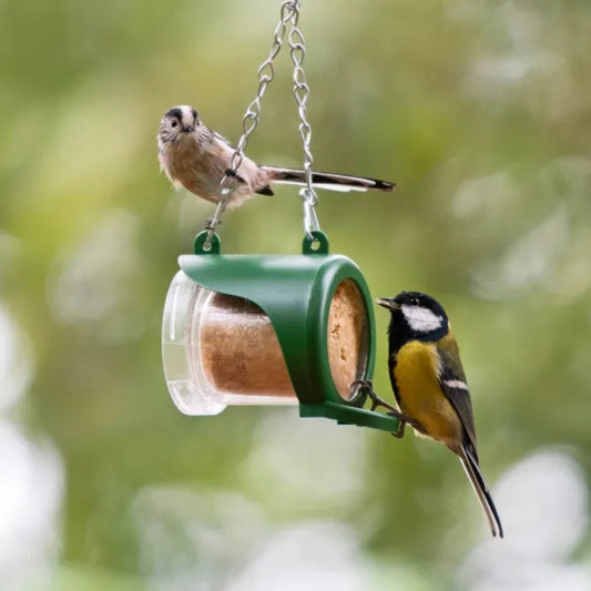 Flutter Butter Eco Refill Pre-Filled Feeder 140g