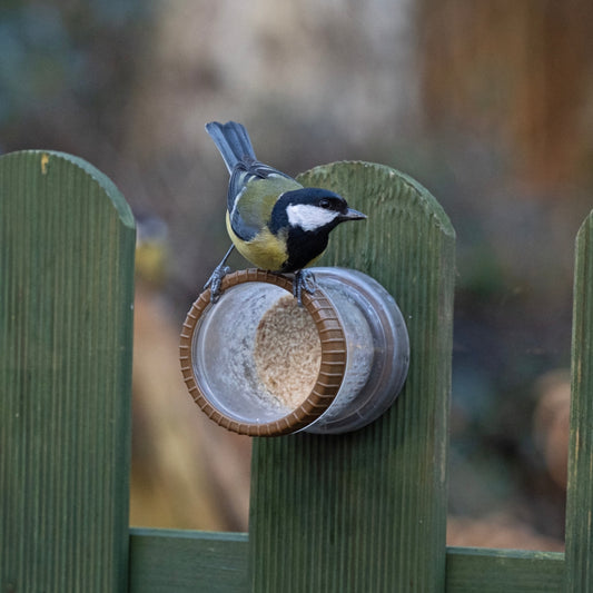 Flutter Butter Wall Feeder