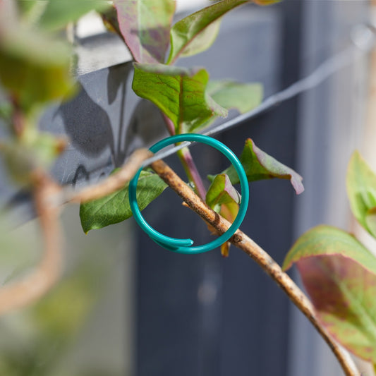 Coated Plant Rings Plant Support Ties 25cm 50 Pack