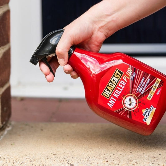 Deadfast Ant Killer Plus Spray Ready to Use Spray Gun 750ml
