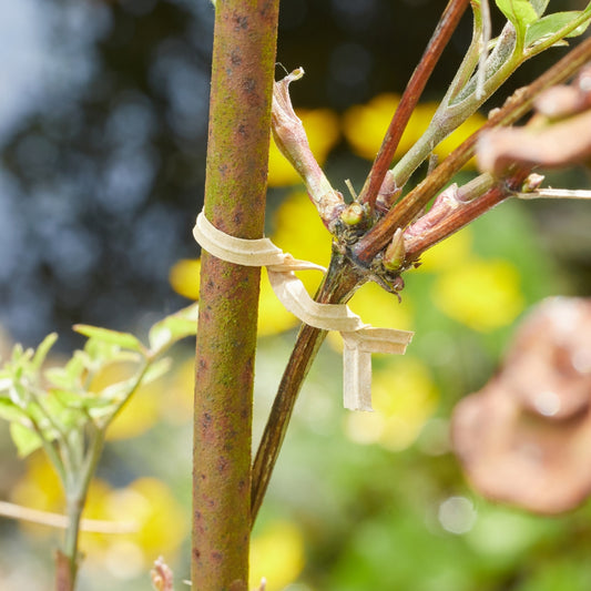 Eco TwistyTie Paper Covered Garden Wire 40m