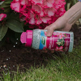 Westland Ericaceous Plant Food Granules Jar 900g