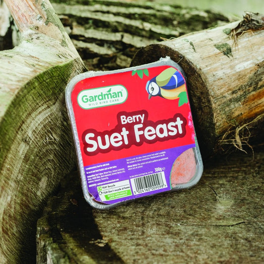 Gardman Berry Suet Feast Bird Food 300g