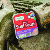 Gardman Berry Suet Feast Bird Food 300g